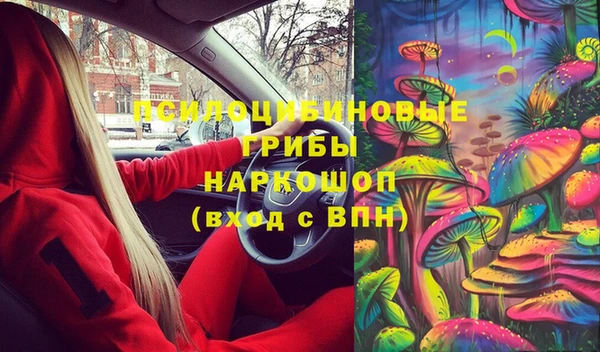 прущий лед Арсеньев